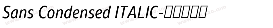 Sans Condensed ITALIC字体转换